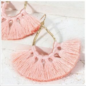 🔥🔥Host Hot Pick🔥🔥 Dusty Pink Tassel Earrings